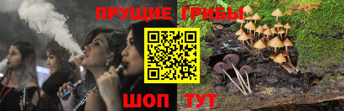 Галлюциногенные грибы прущие грибы  Вход с VPN  Галлюциногенные грибы прущие грибы  Бирск 